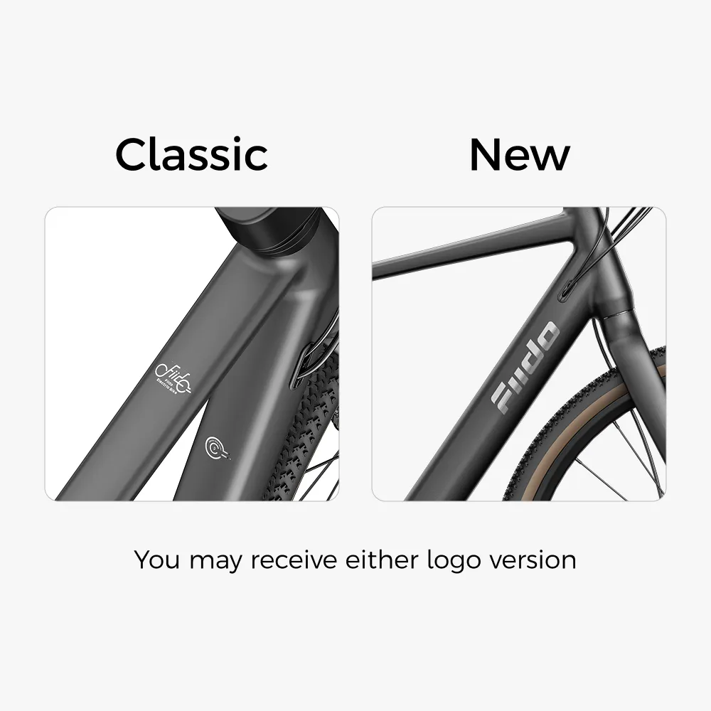 Fiido C21 E-Gravel & City E-Bike - Image 3