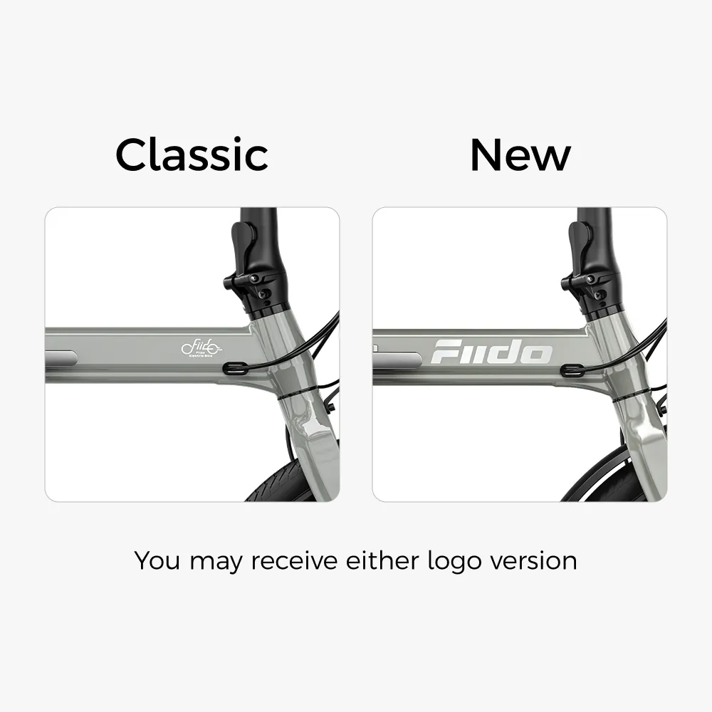 Fiido D11 Folding E-bike - Image 3