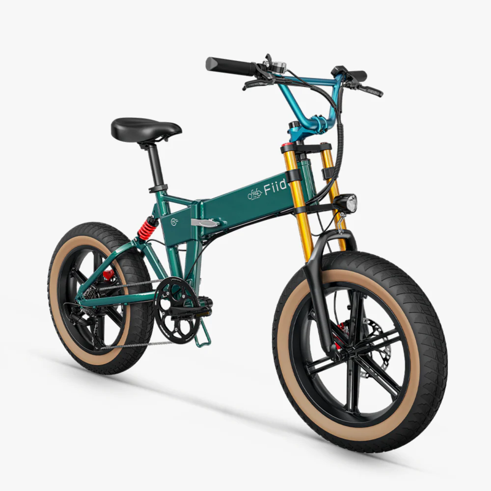Fiido M1 Pro Fat Tire Electric Bike - Image 10
