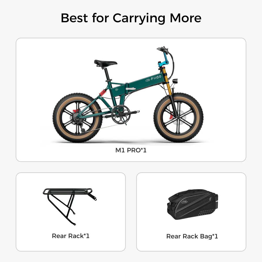 Fiido M1 Pro Fat Tire Electric Bike - Image 11