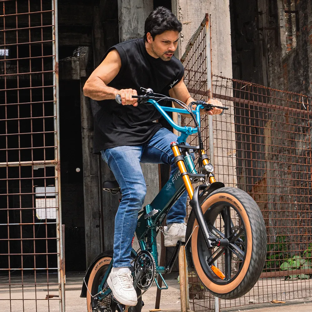 Fiido M1 Pro Fat Tire Electric Bike - Image 9