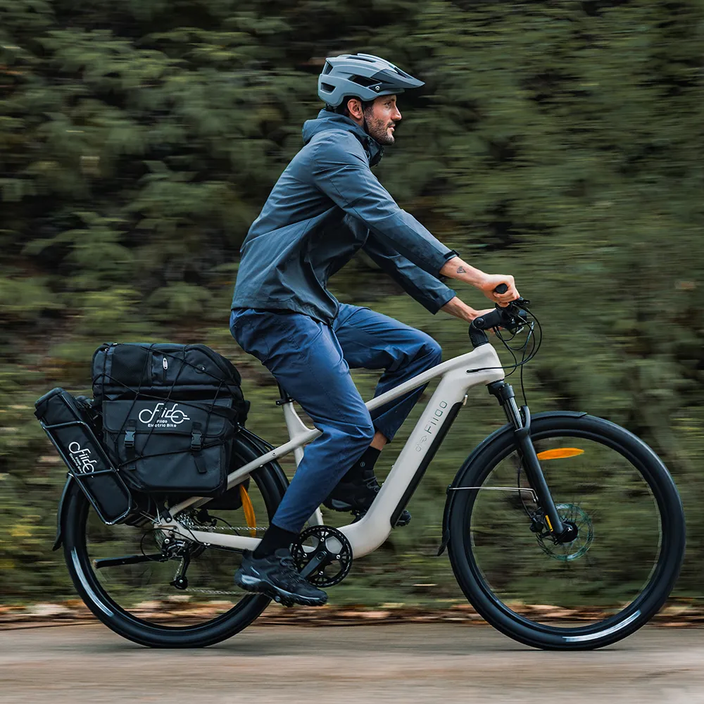 Fiido Nomads Touring E-bike - Image 4