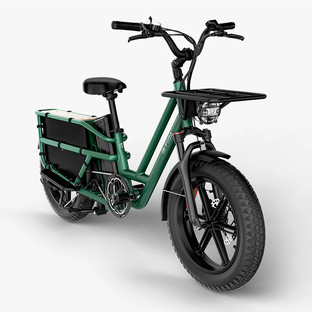 Fiido T2 Longtail Cargo E-bike - Image 11