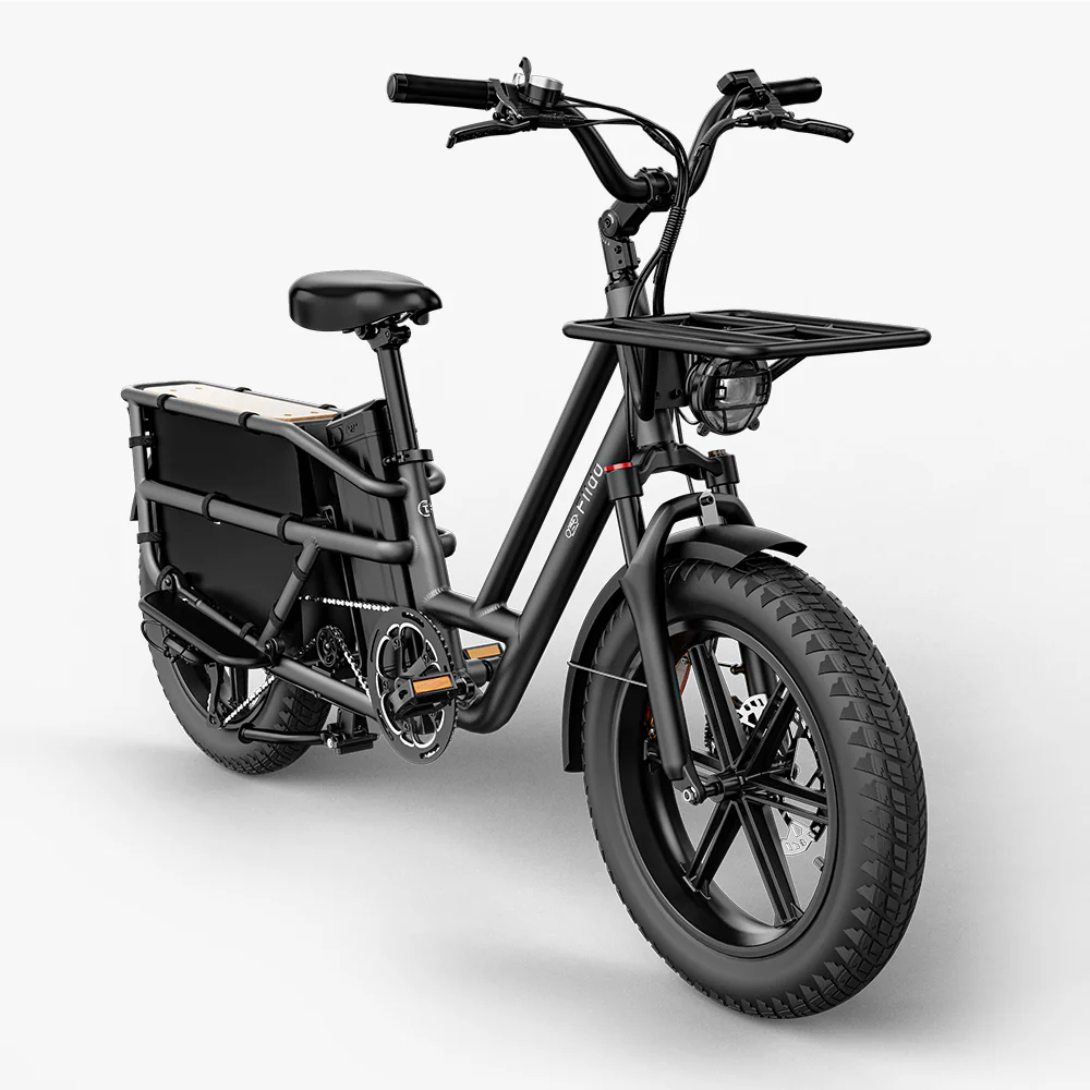 Fiido T2 Longtail Cargo E-bike - Image 12