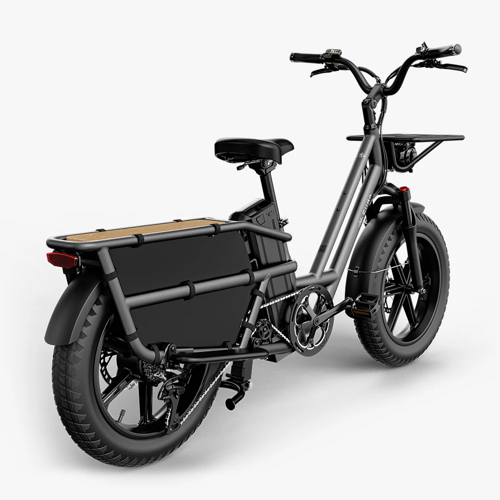 Fiido T2 Longtail Cargo E-bike - Image 14