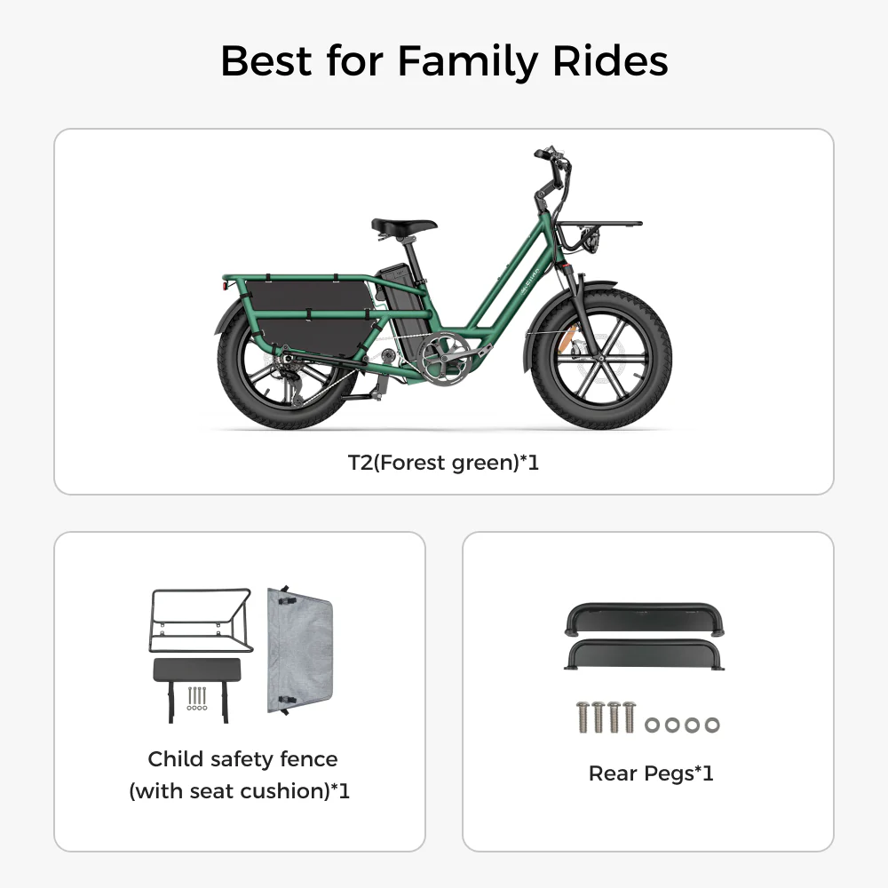 Fiido T2 Longtail Cargo E-bike - Image 16