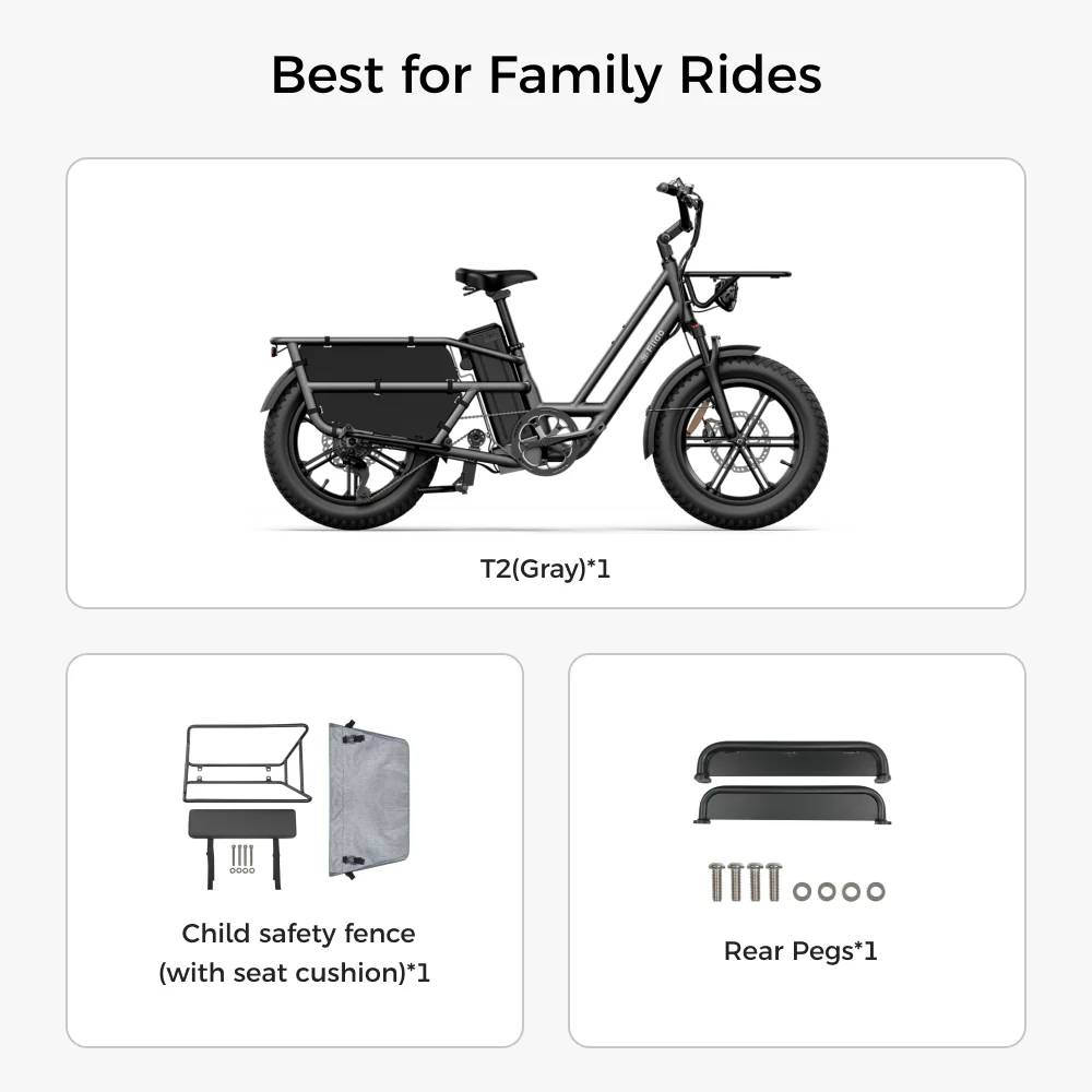 Fiido T2 Longtail Cargo E-bike - Image 17