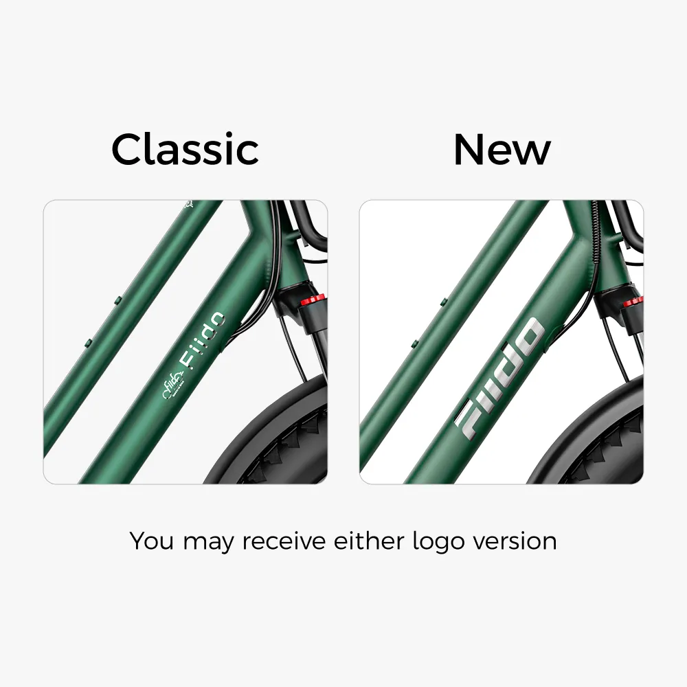 Fiido T2 Longtail Cargo E-bike - Image 3