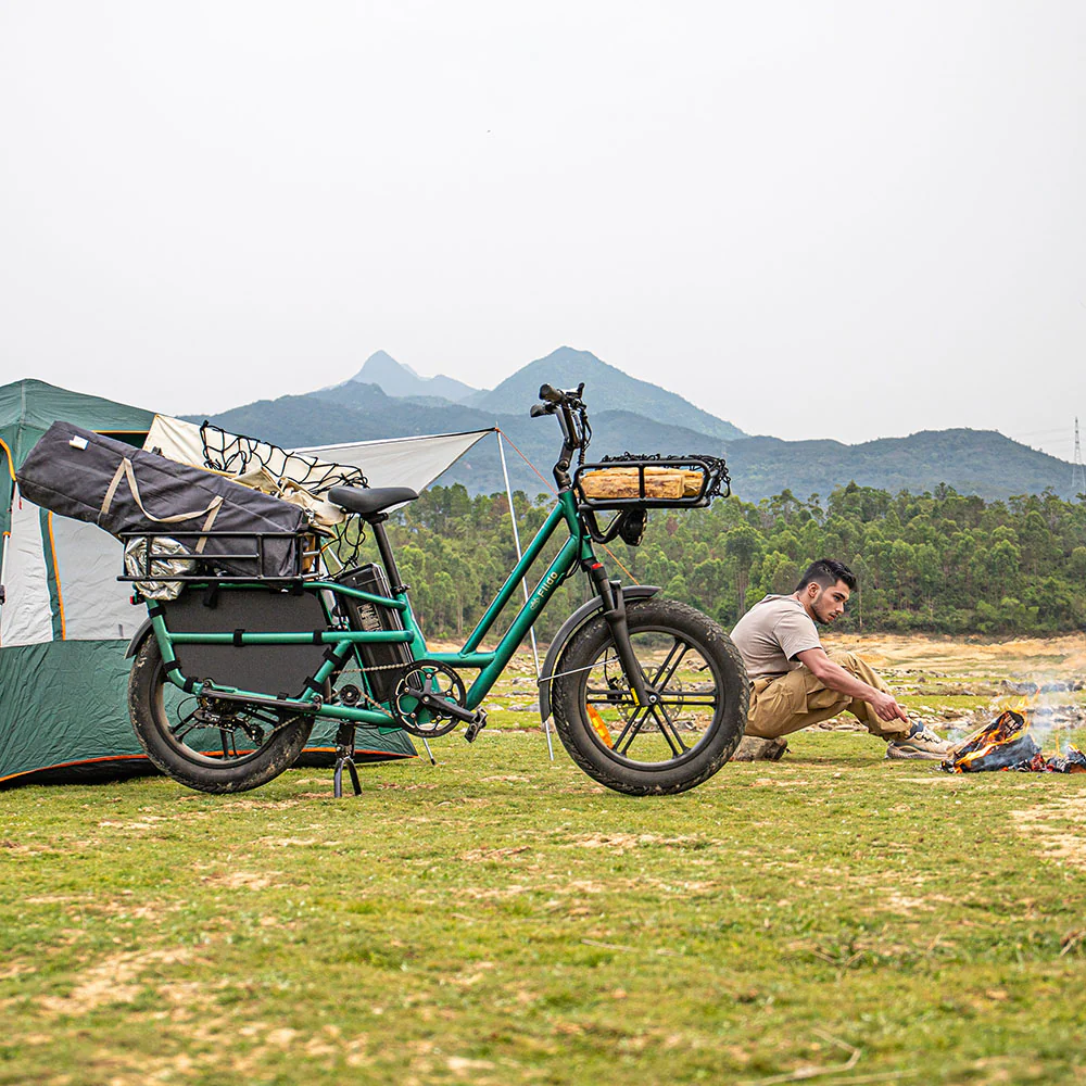 Fiido T2 Longtail Cargo E-bike - Image 6