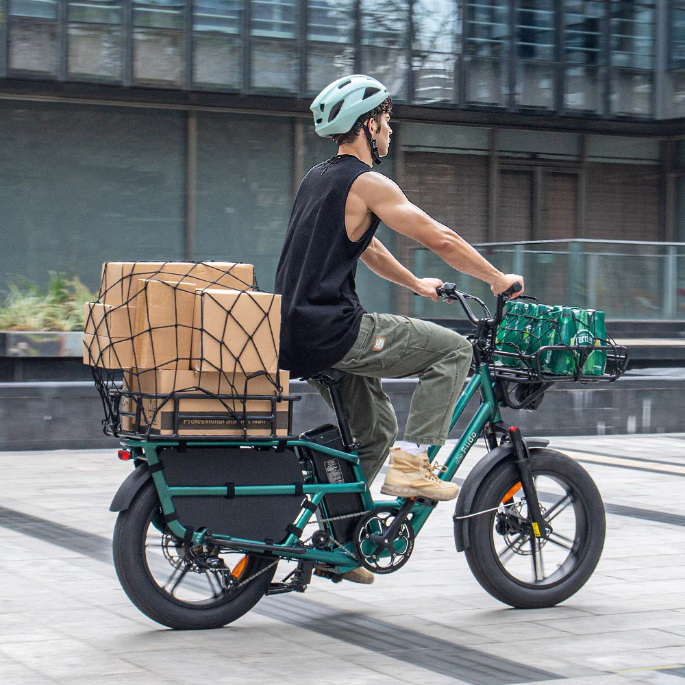 Fiido T2 Longtail Cargo E-bike - Image 9