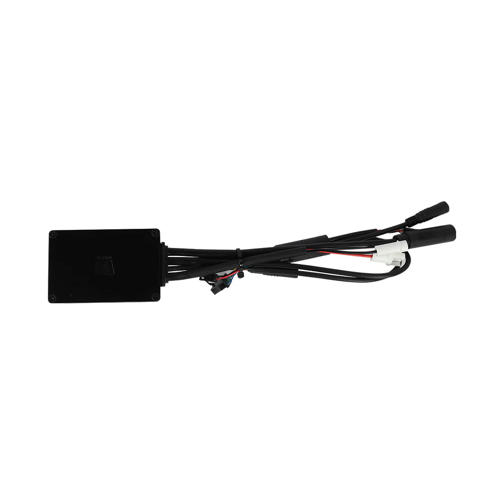 Fiido X Controller - Image 2