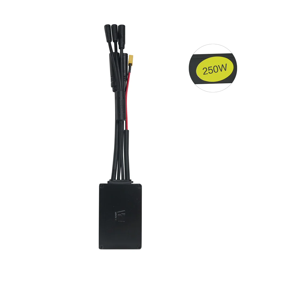 Fiido X Controller - Image 4